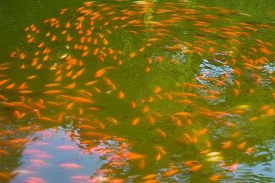 《羊蹄山之魂》实现