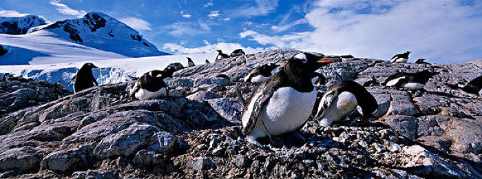 《沙漠大冒险》发售日预告 4月26日登陆多平台